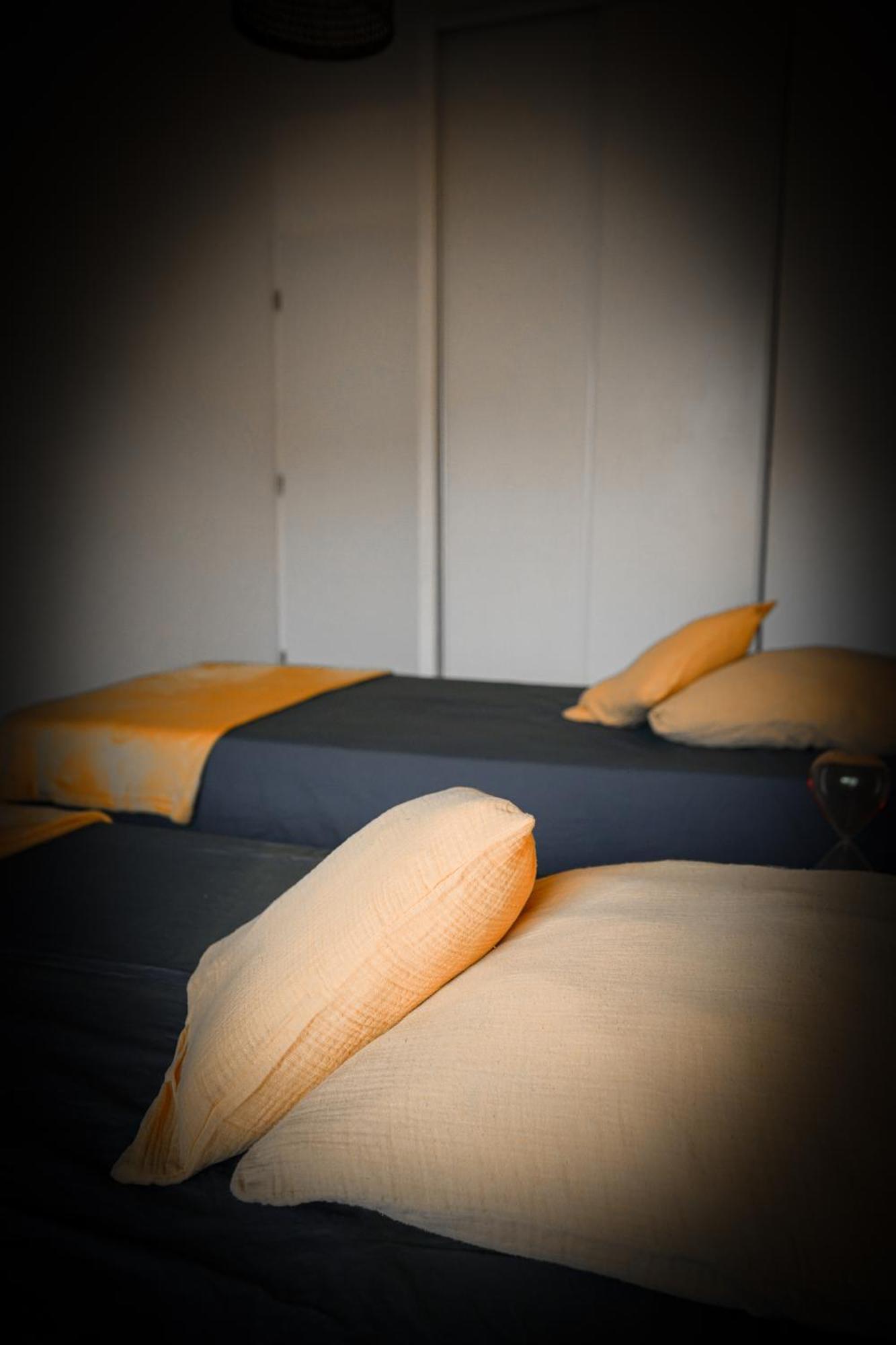 Bel Appartement Climatise & Parking Perpignan Dış mekan fotoğraf